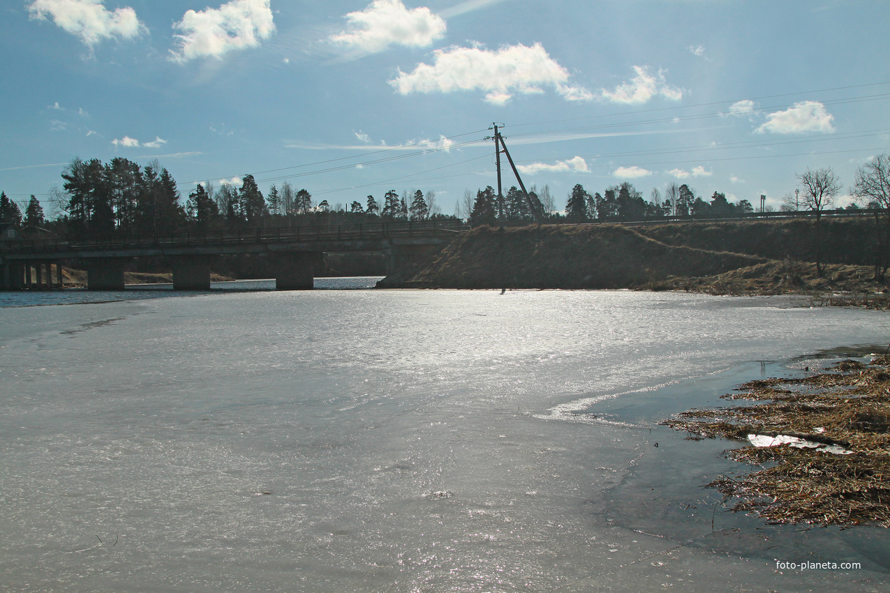 Река Оредеж