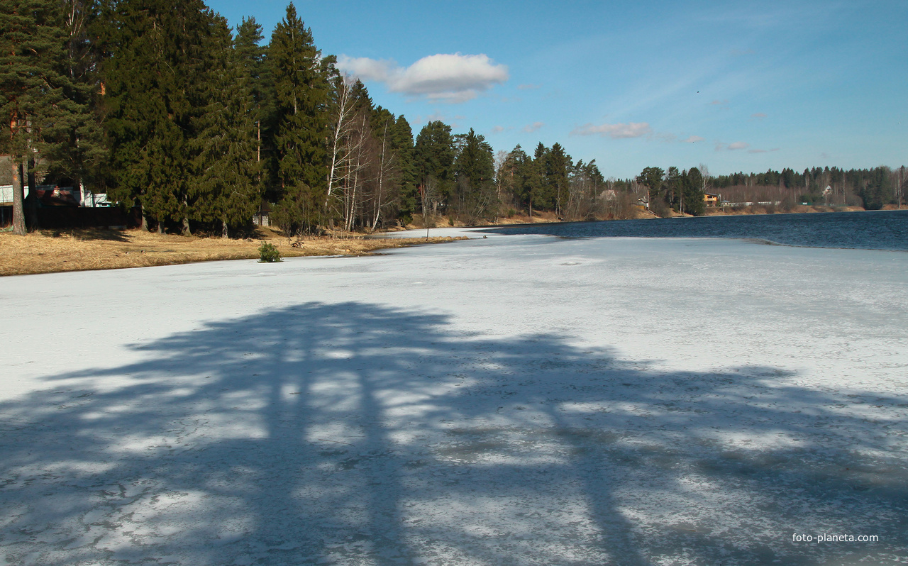 Река Оредеж