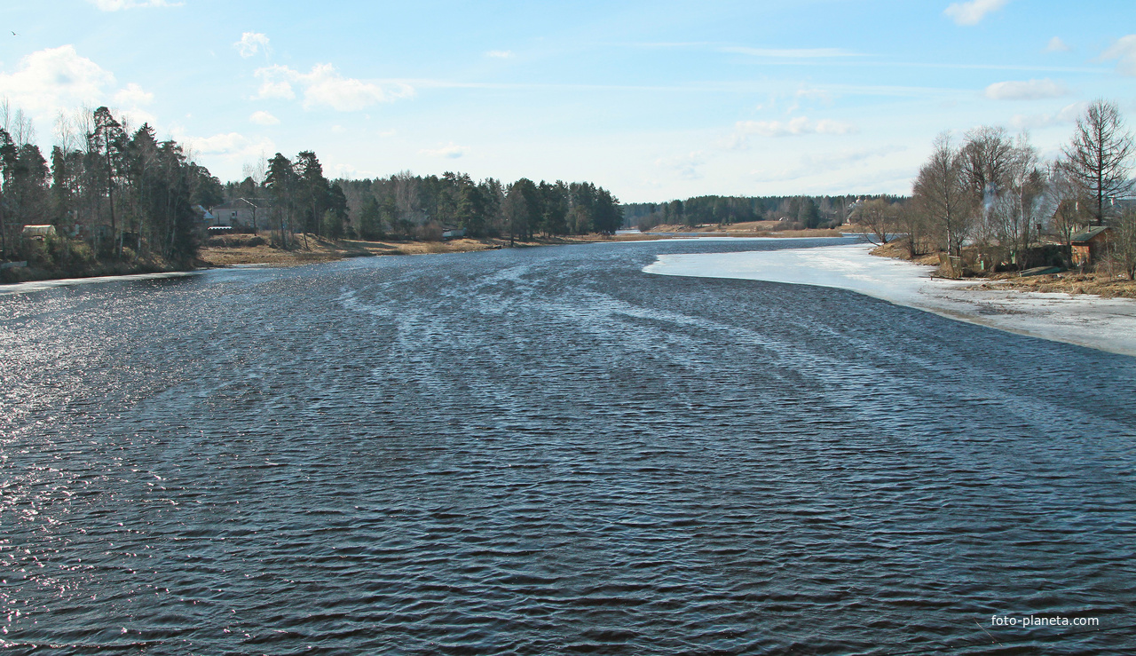 Река Оредеж