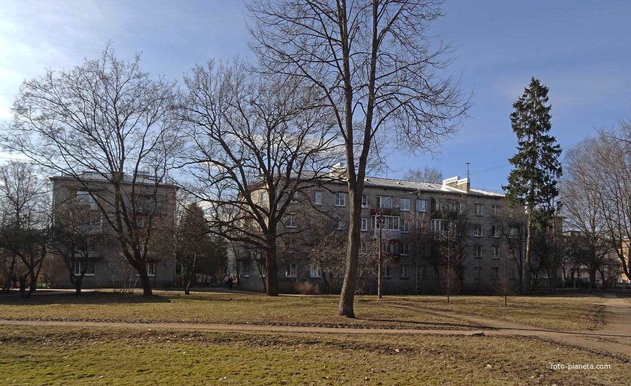 Улица Мичурина