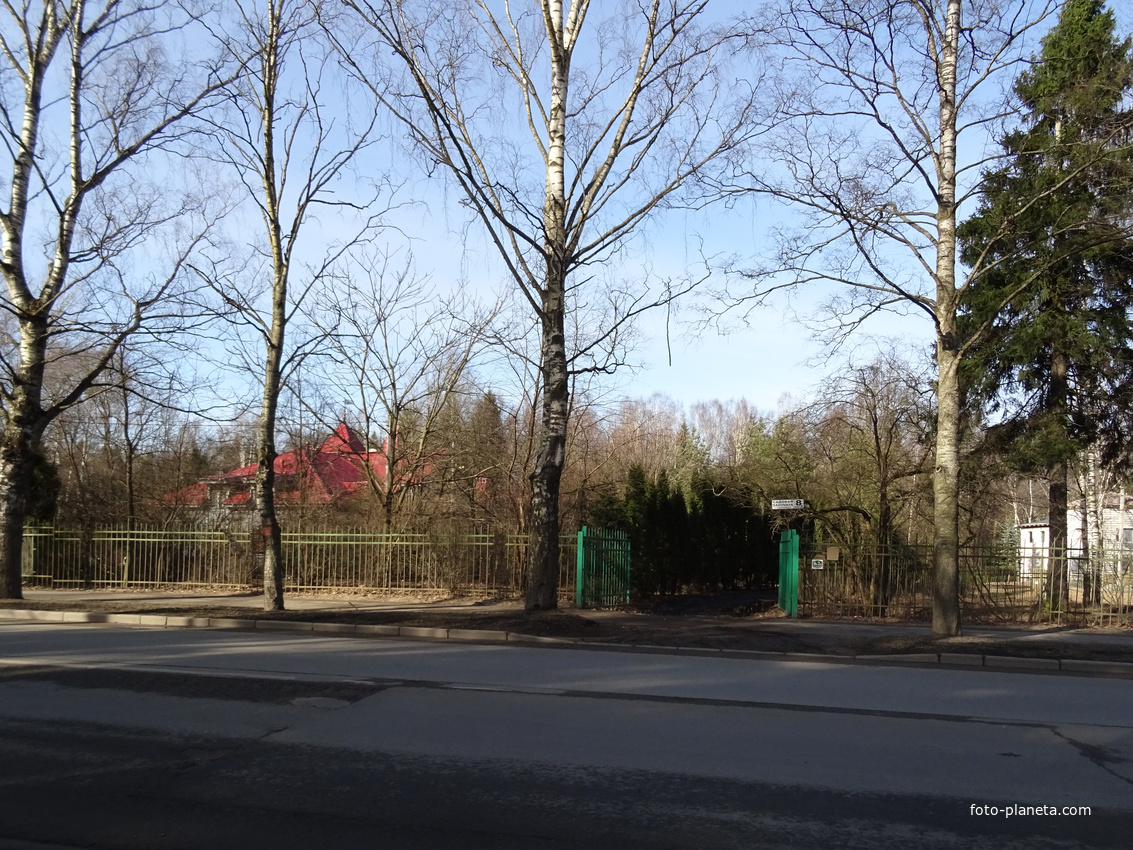 Улица Садовая