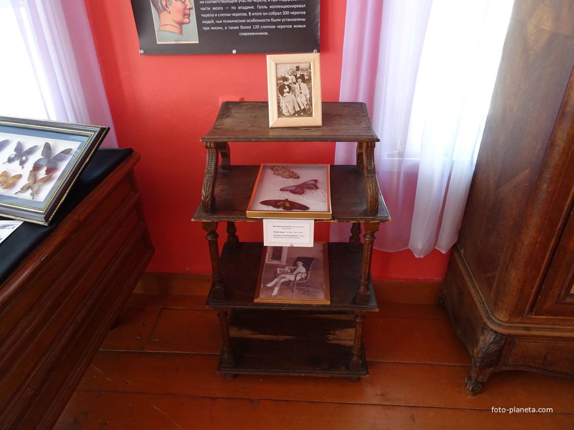 В музее-усадьбе &quot;Рождествено&quot;