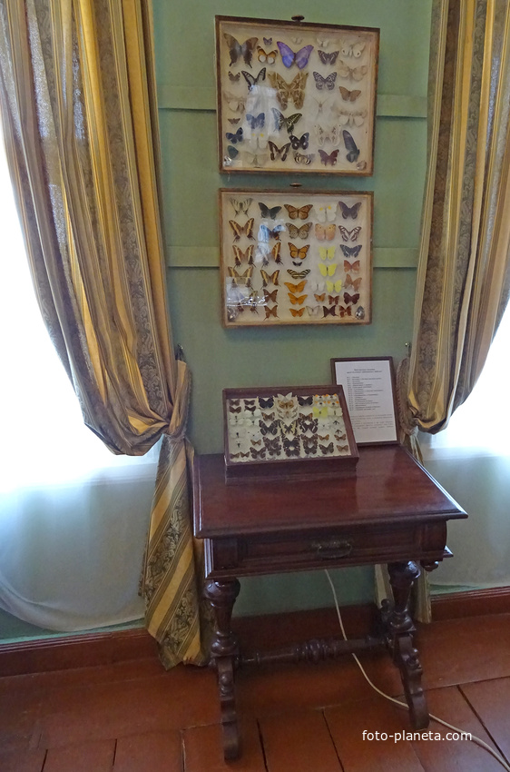 В музее-усадьбе &quot;Рождествено&quot;