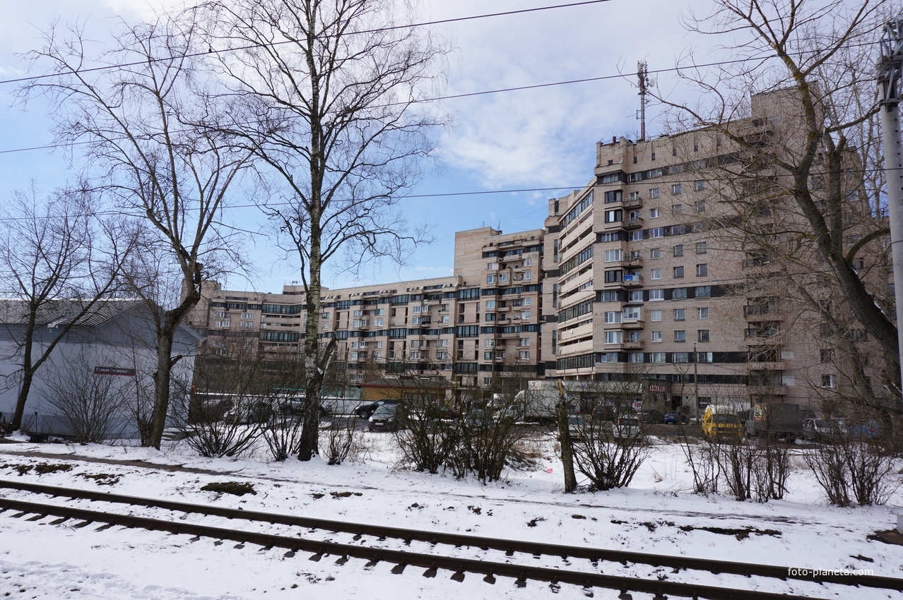 Сестрорецк.