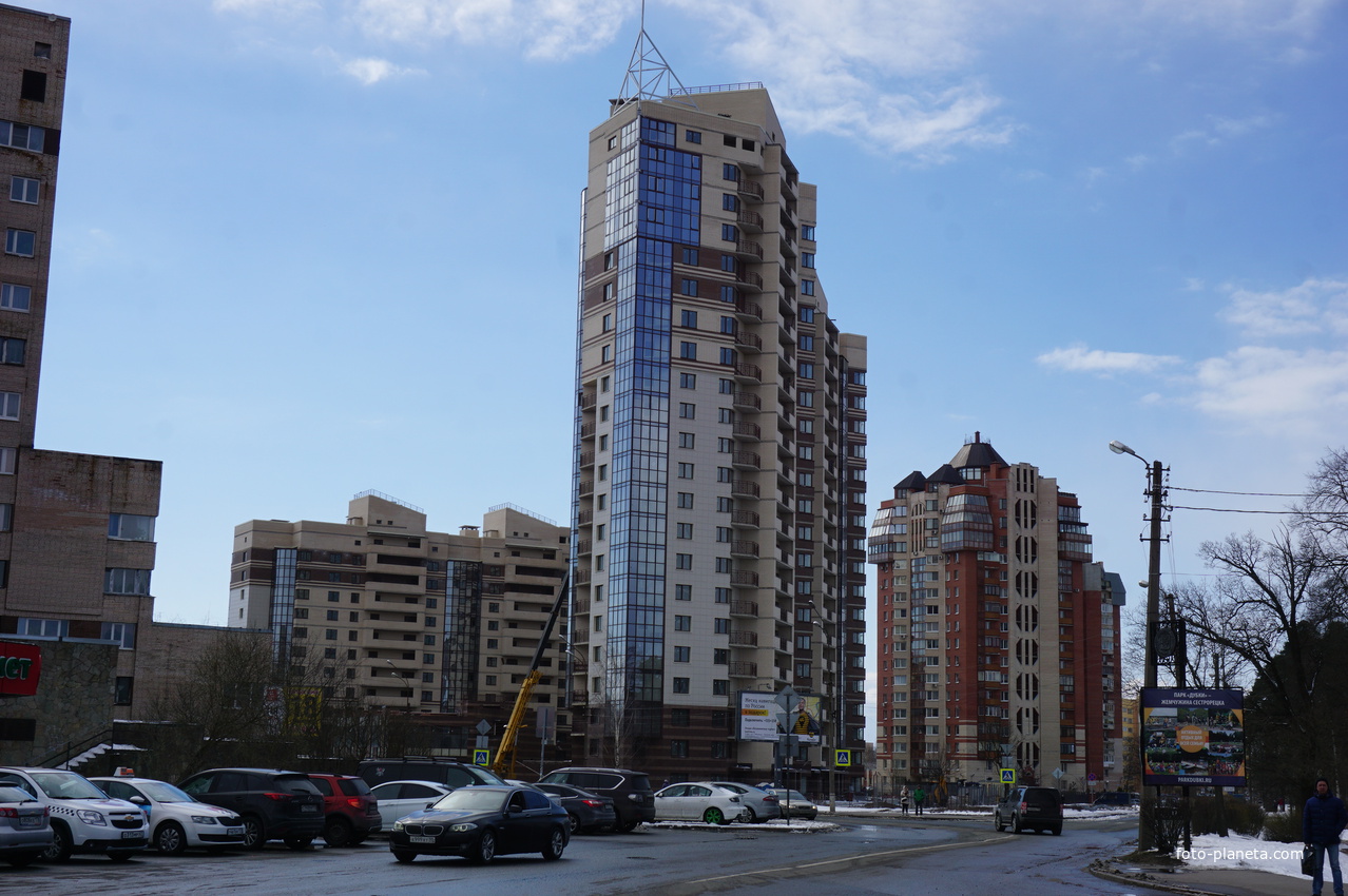 Сестрорецк.