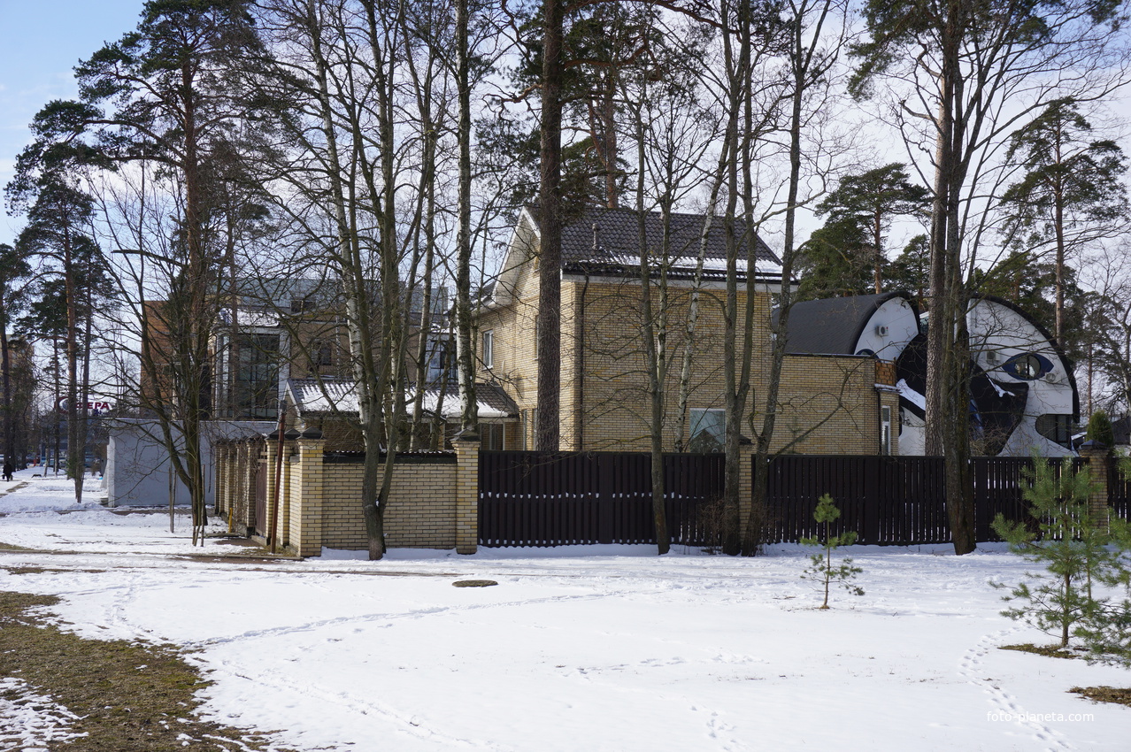 Сестрорецк.