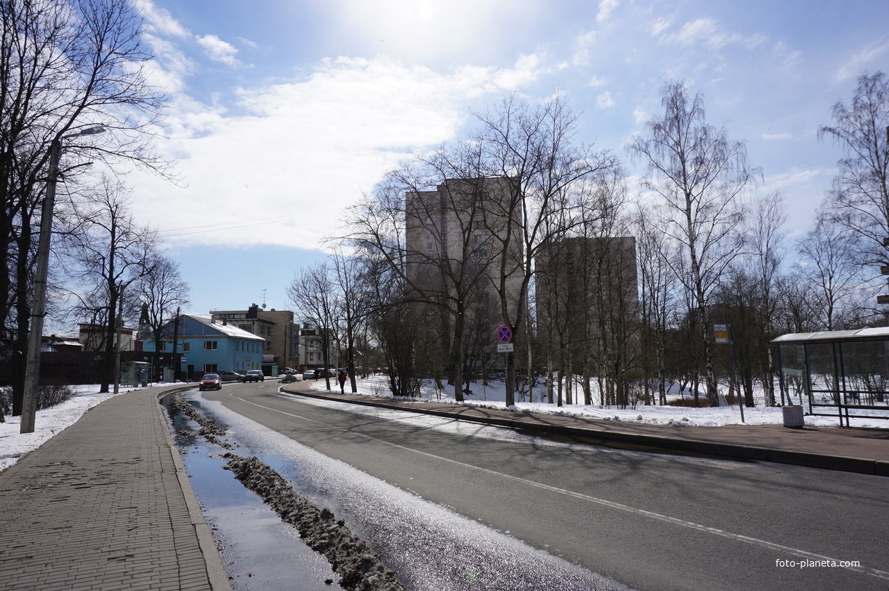 Сестрорецк.