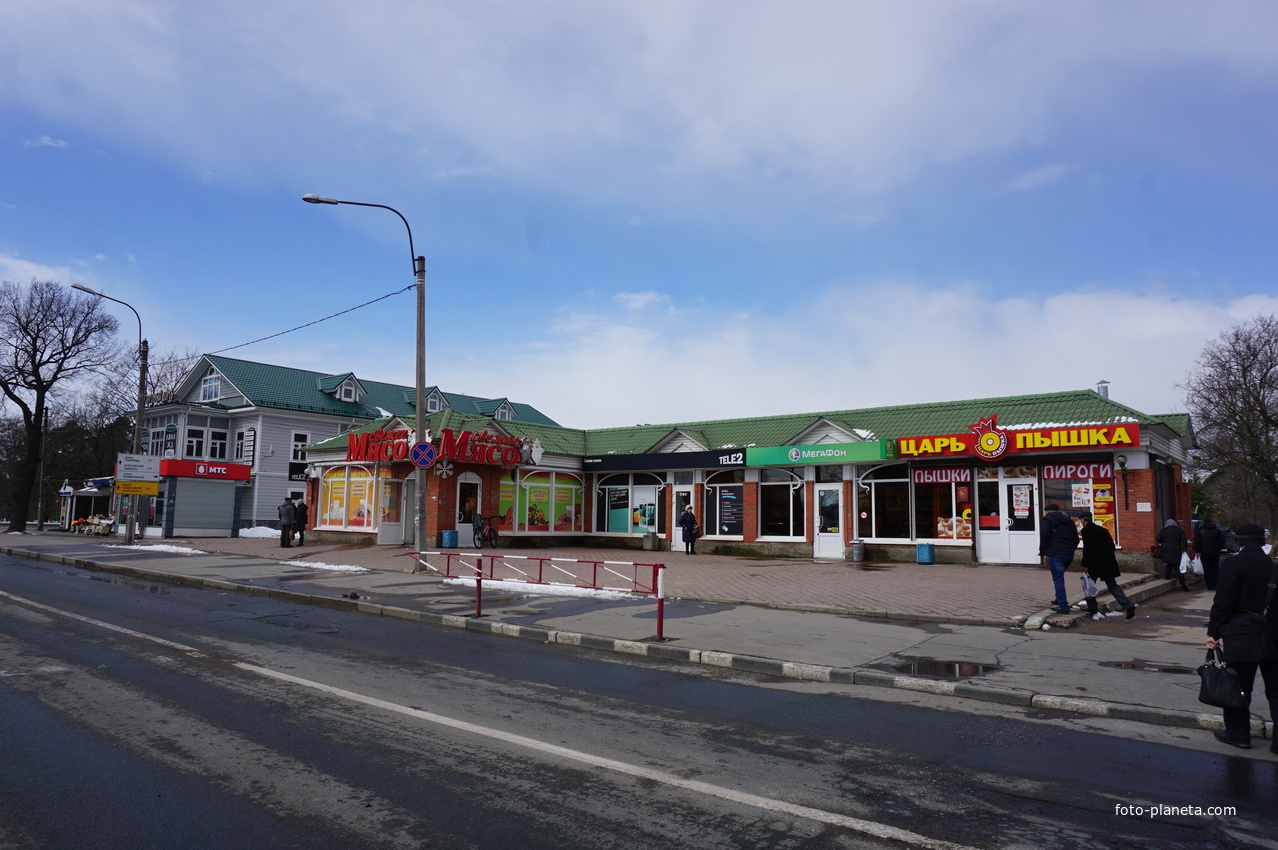 Сестрорецк.