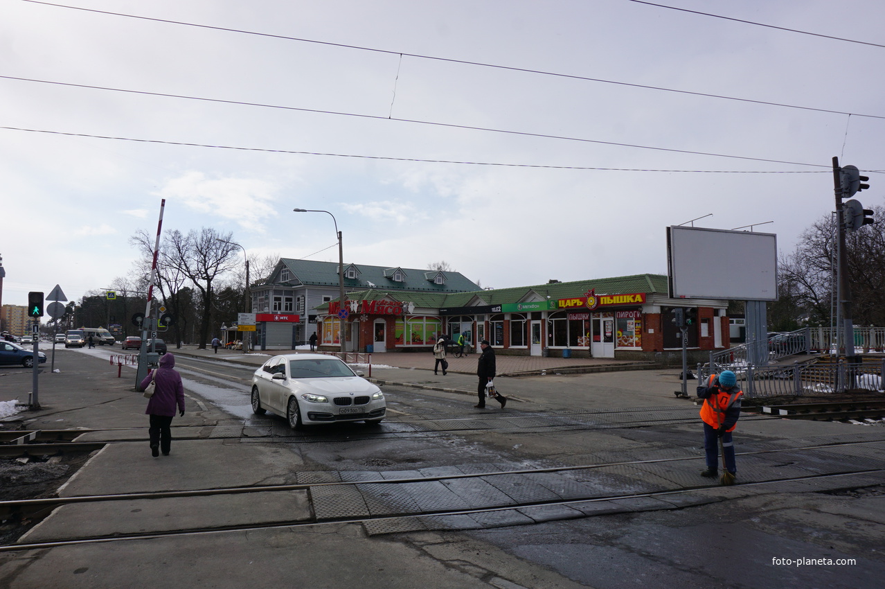 Сестрорецк.