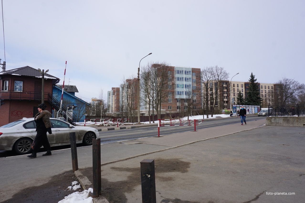 Сестрорецк.