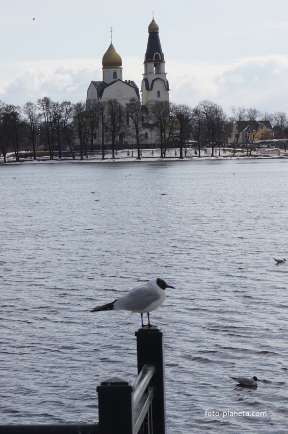 Сестрорецк.