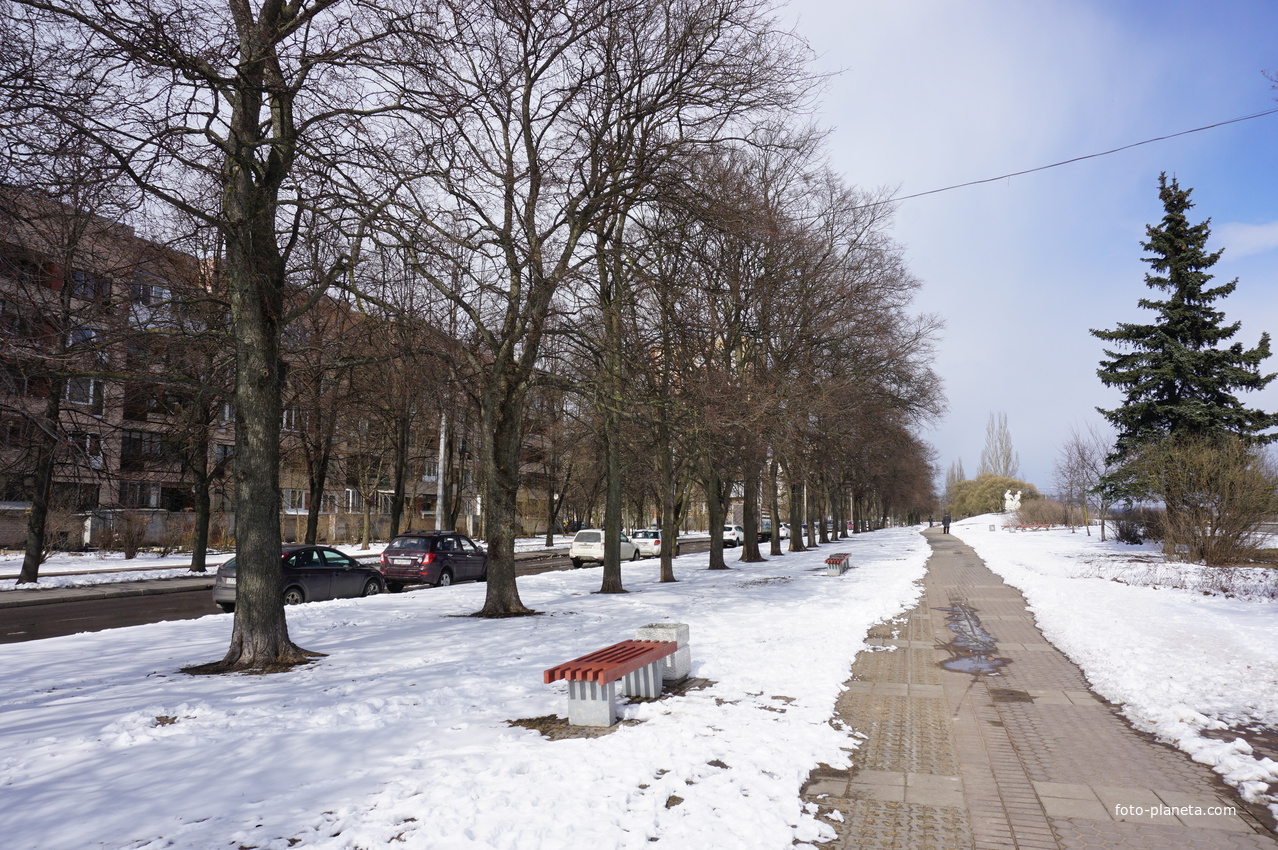 Сестрорецк.