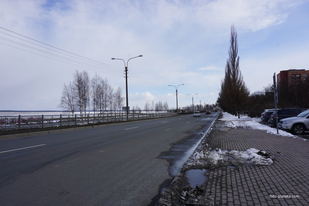 Сестрорецк.