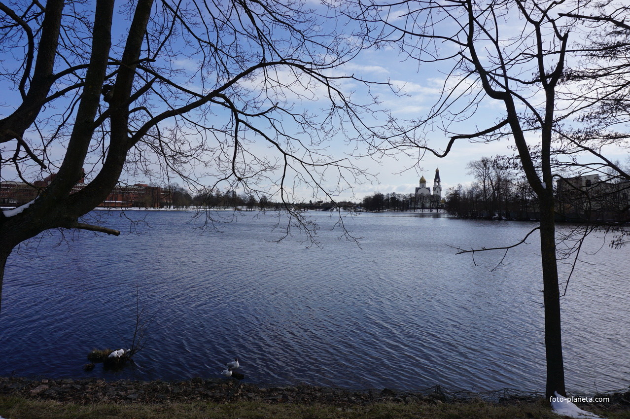 Сестрорецк.