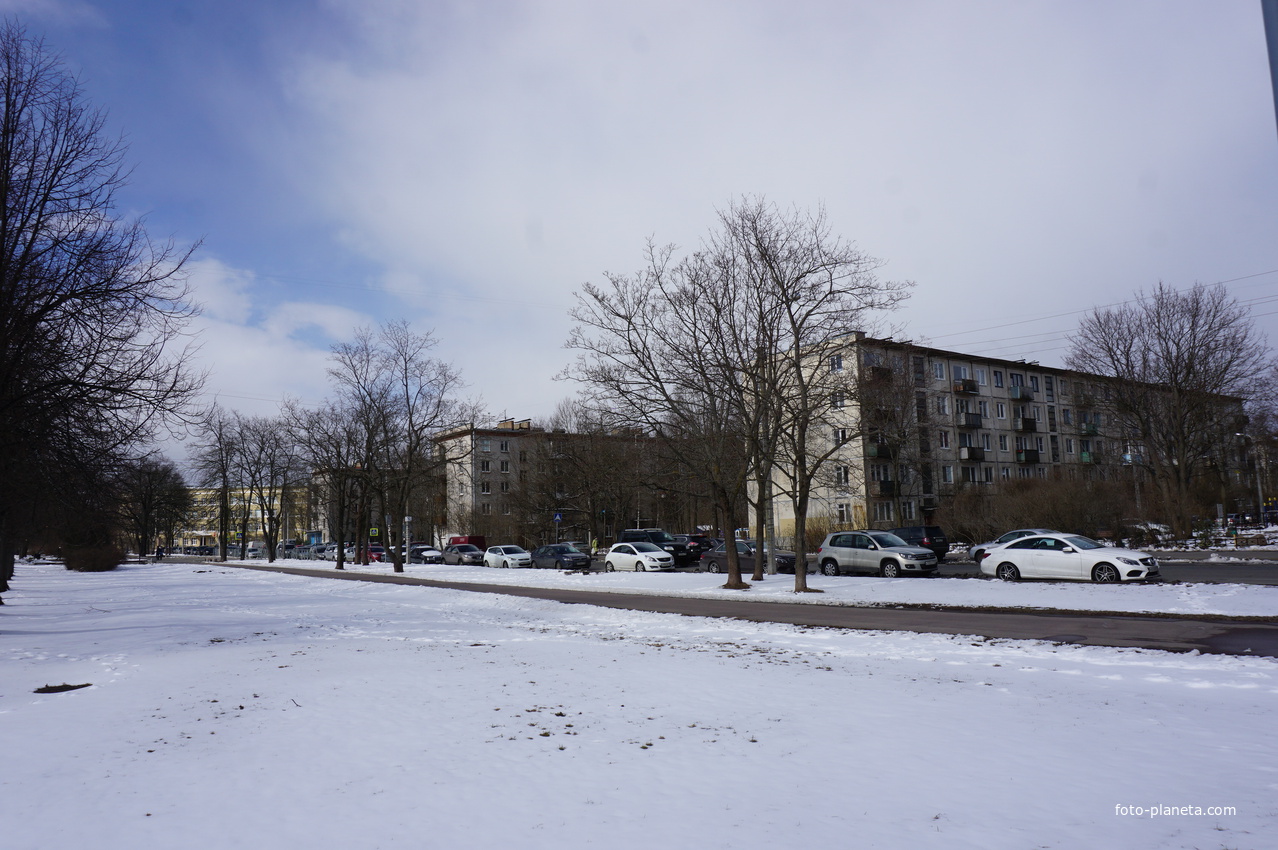 Сестрорецк.