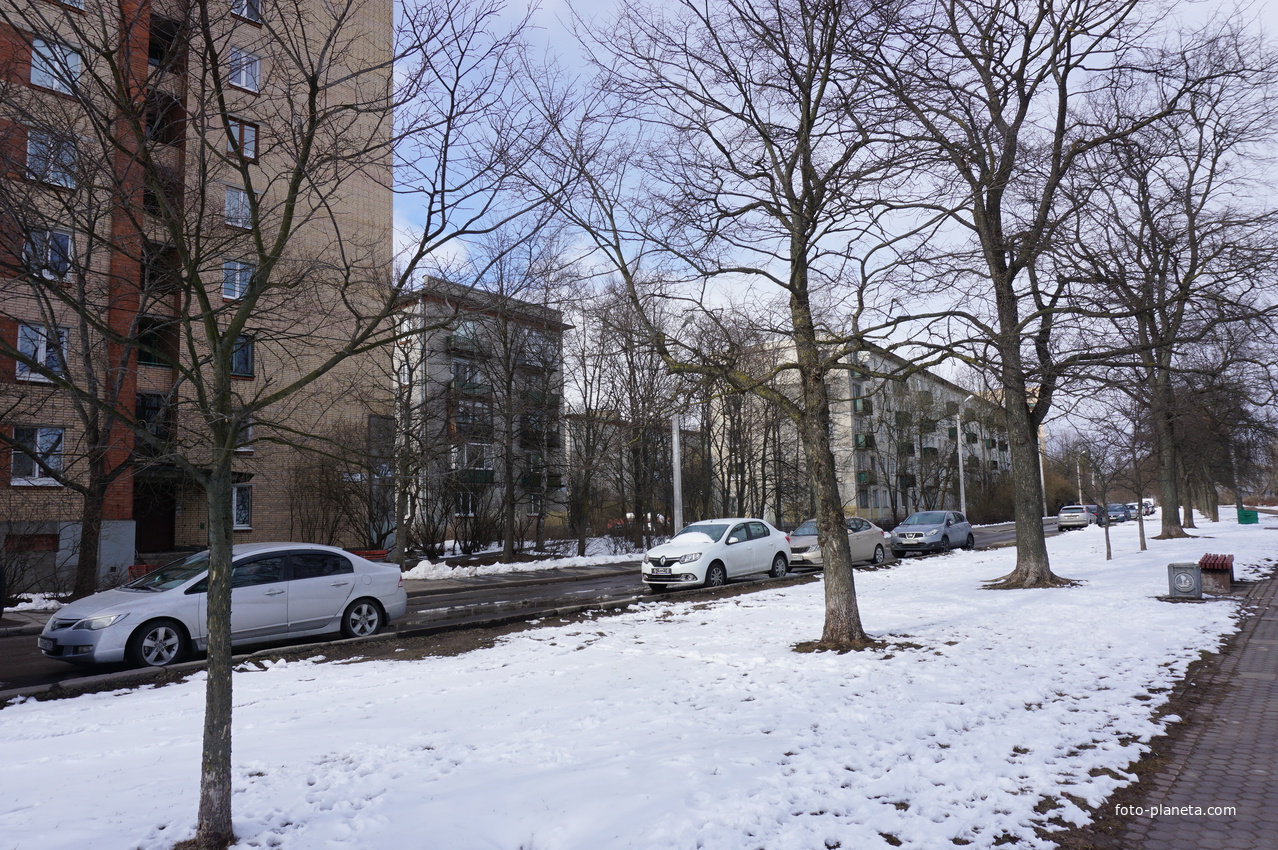 Сестрорецк.