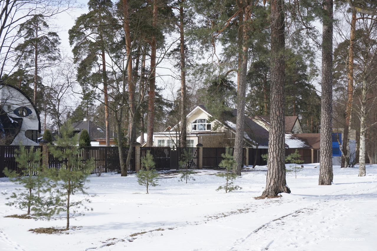 Сестрорецк.