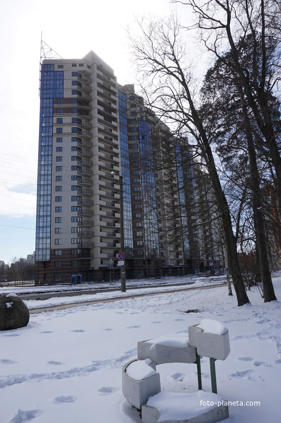 Сестрорецк.