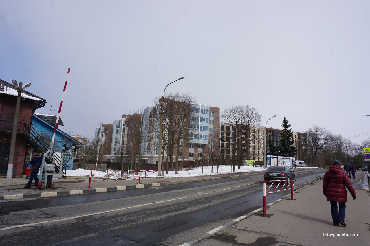 Сестрорецк.