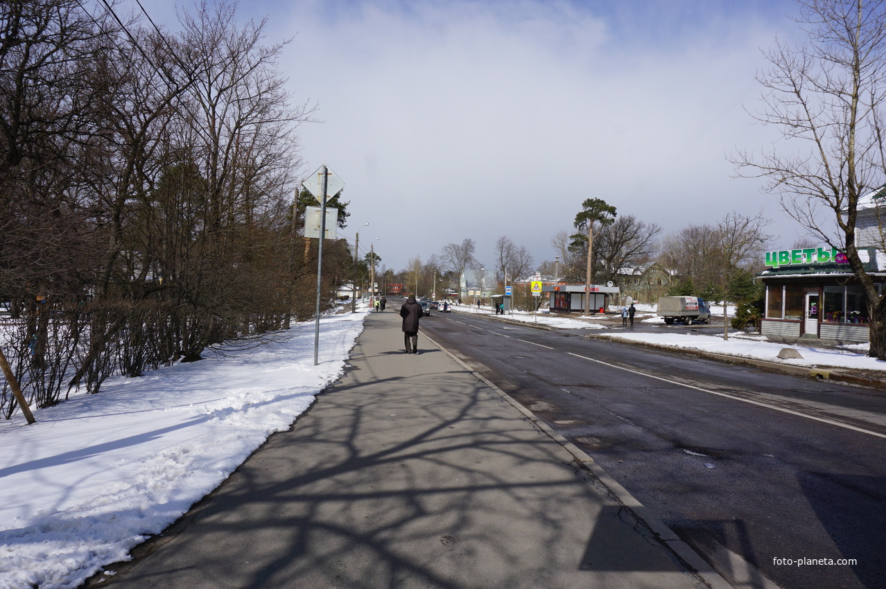 Сестрорецк.