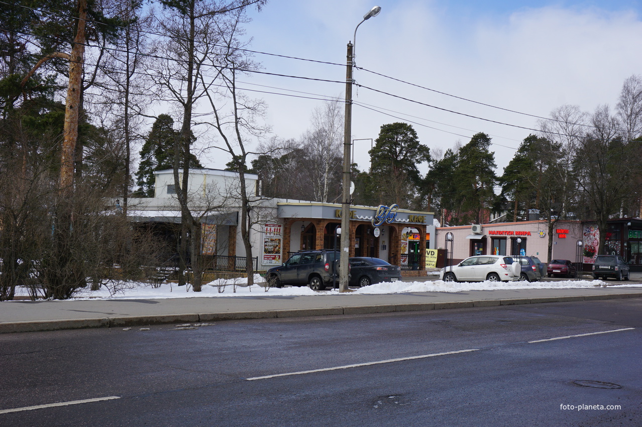 Сестрорецк.