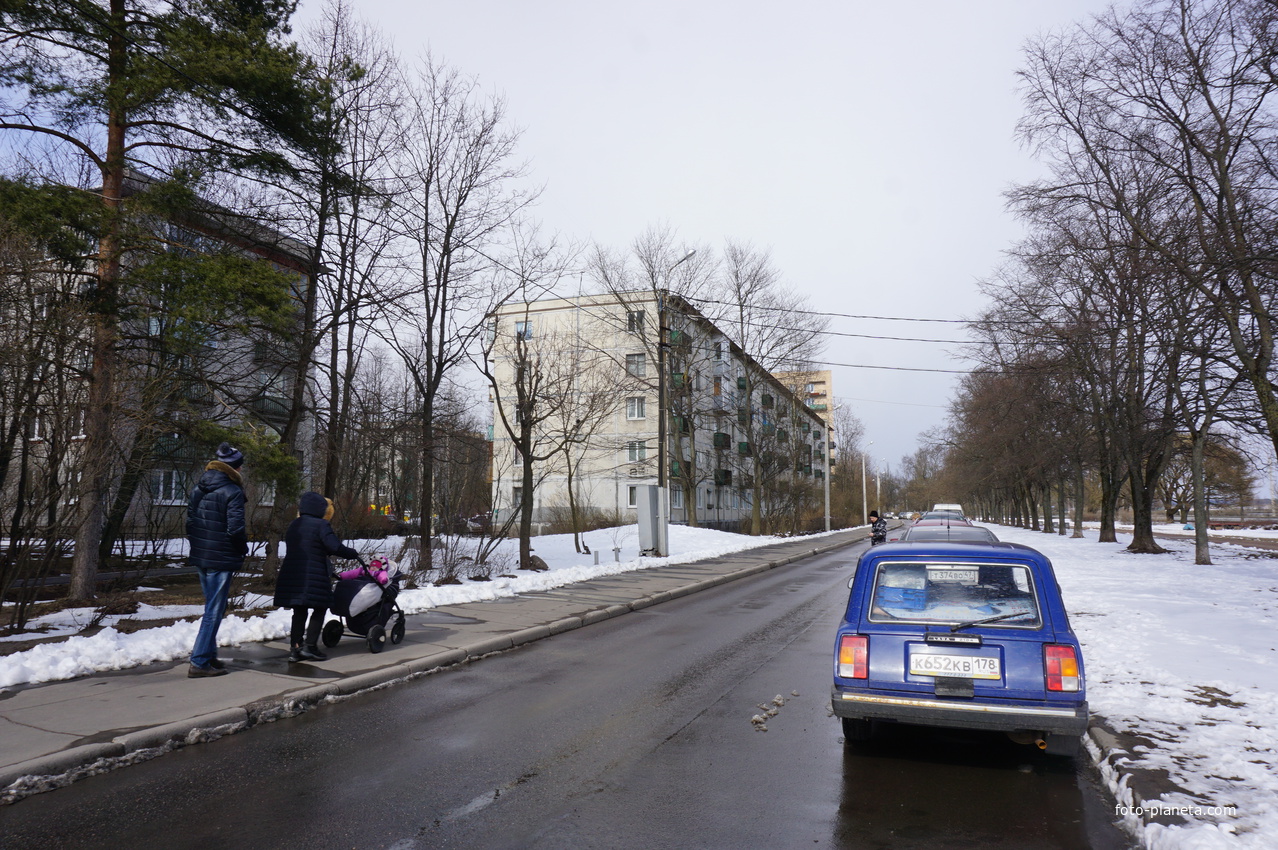 Сестрорецк.