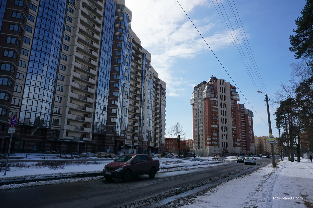 Сестрорецк.