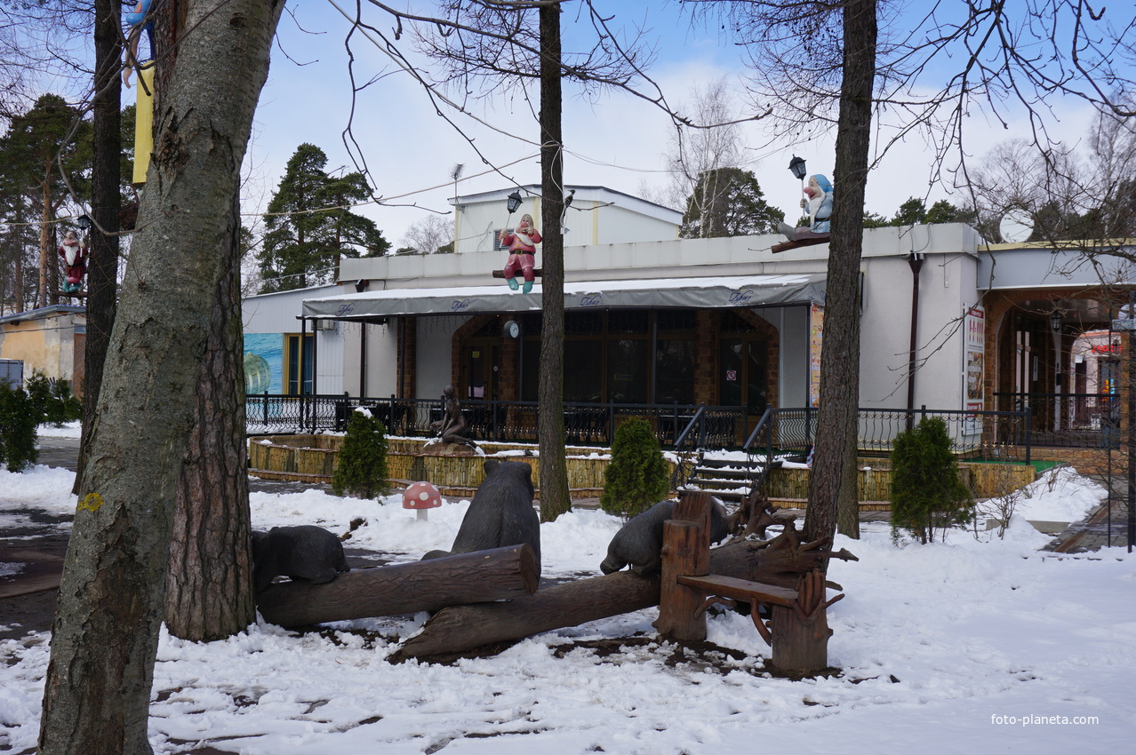 Сестрорецк.