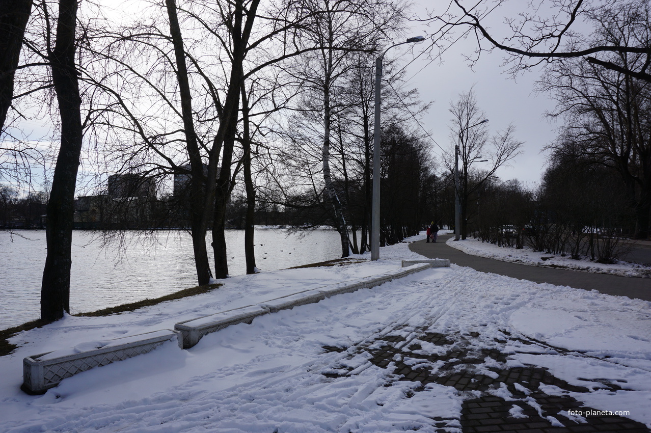 Сестрорецк.