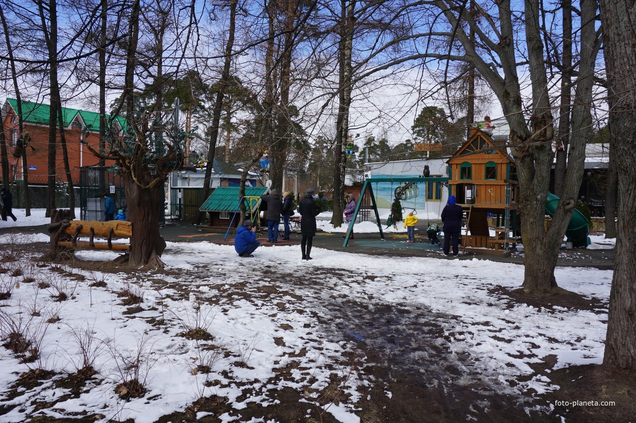 Сестрорецк.