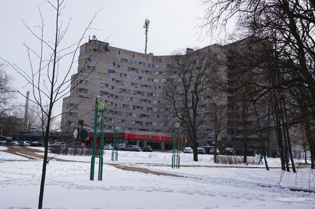 Сестрорецк.