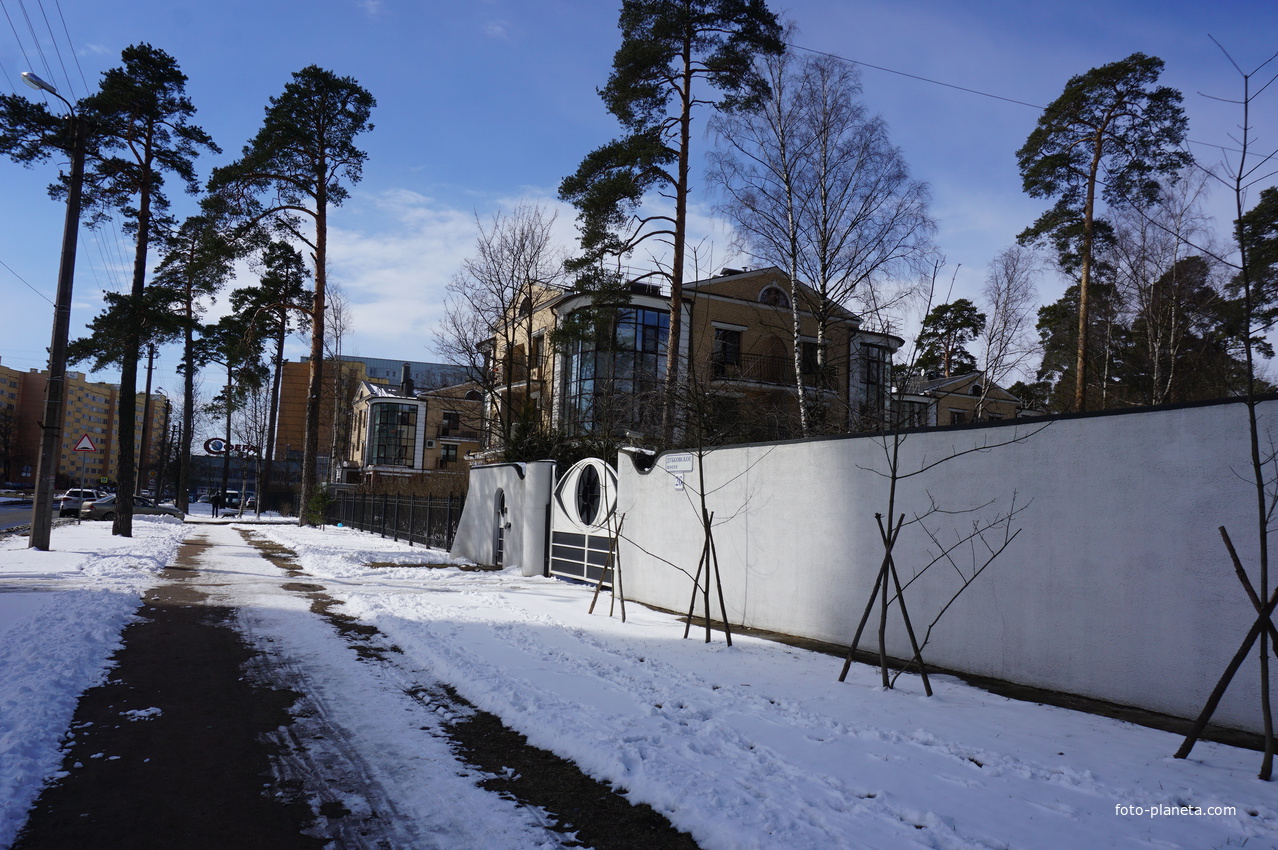 Сестрорецк.