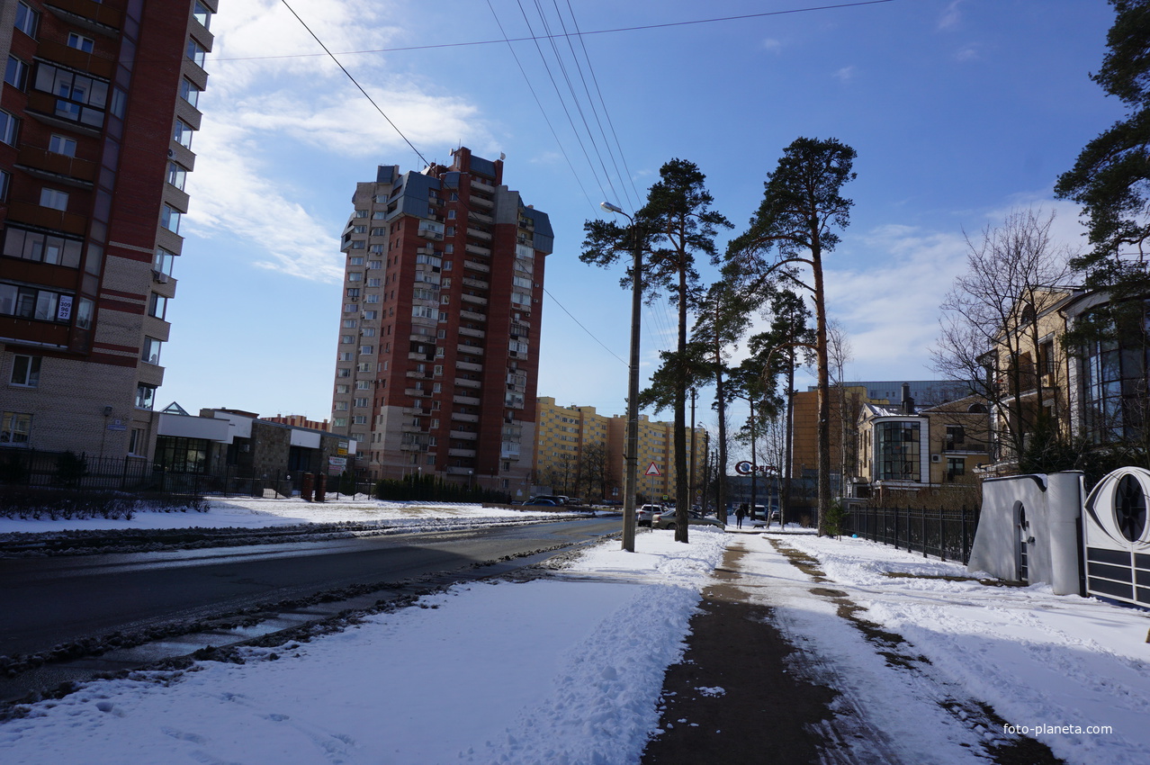 Сестрорецк.