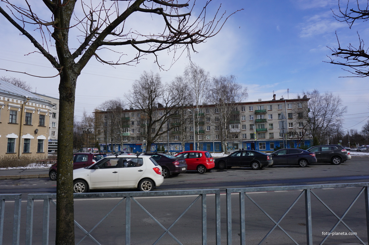 Сестрорецк.