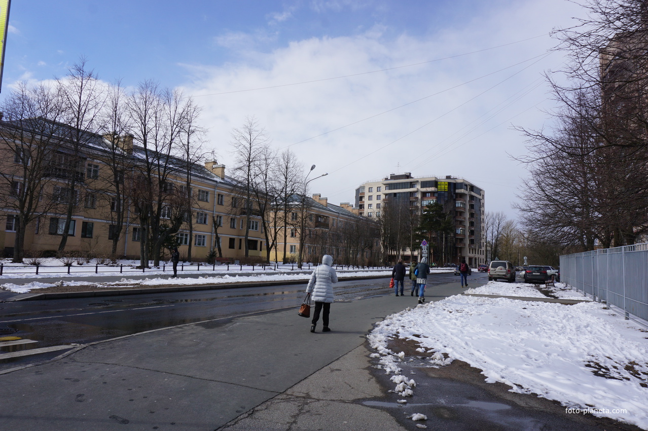 Сестрорецк.