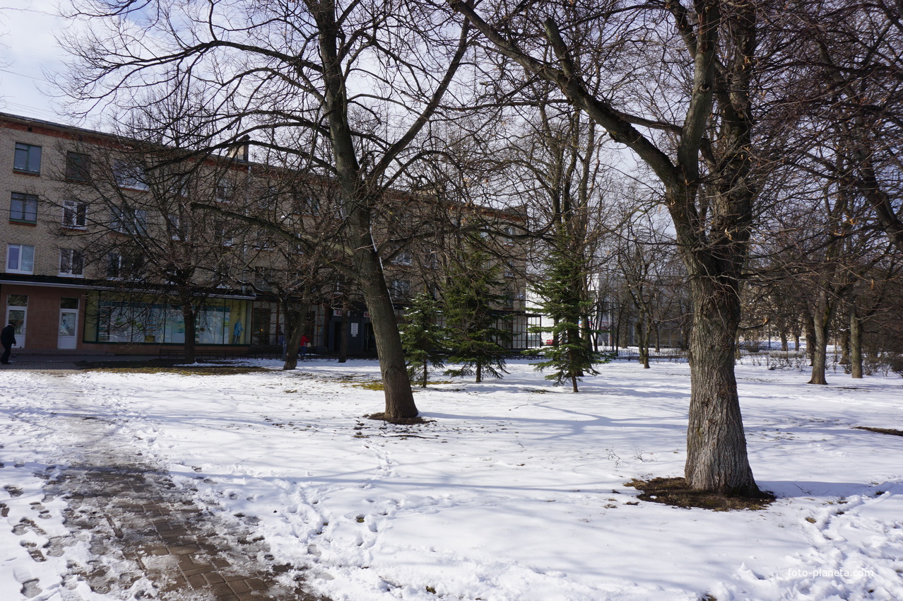 Сестрорецк.