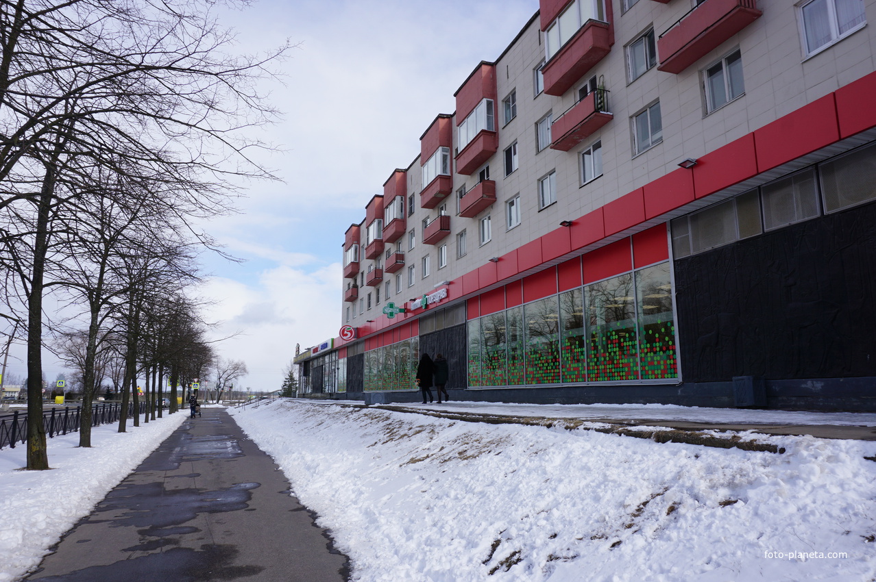 Сестрорецк.