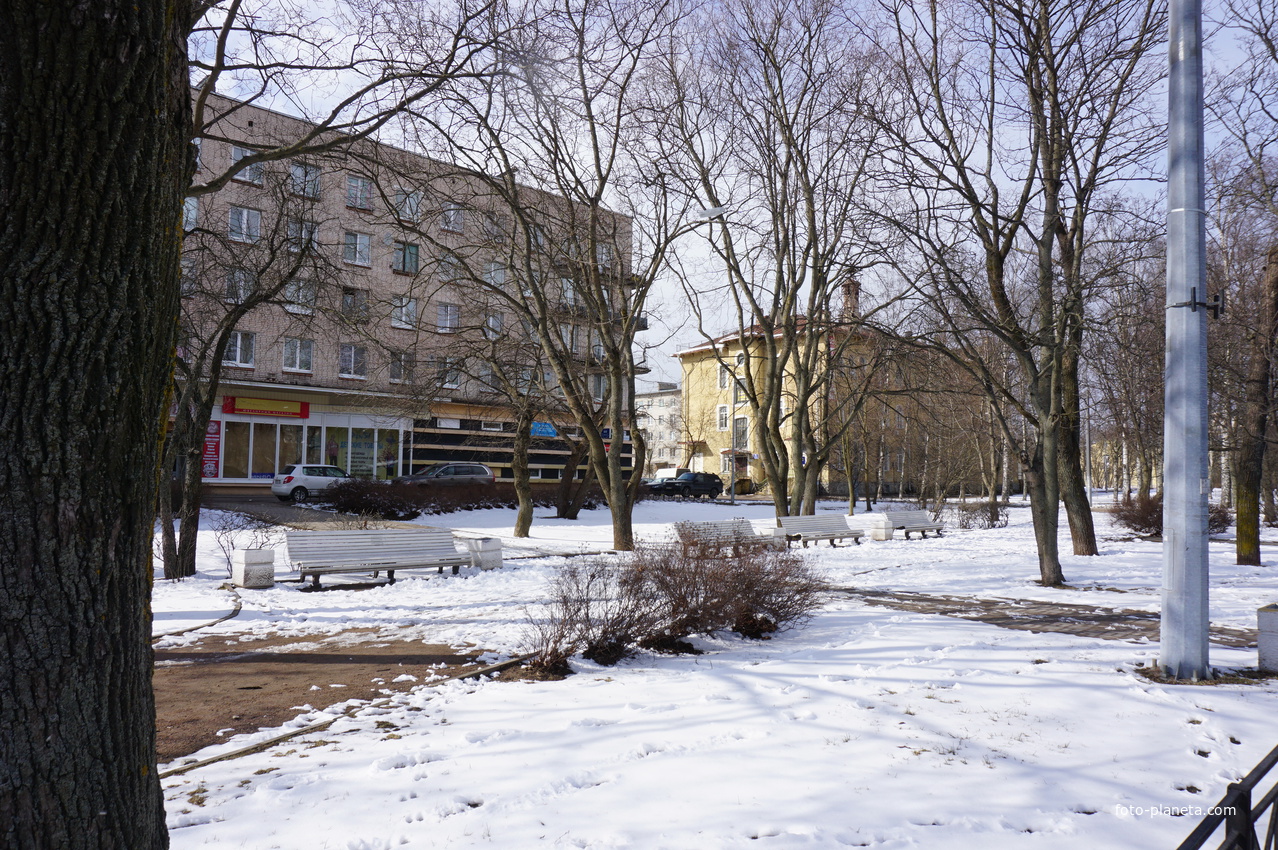 Сестрорецк.