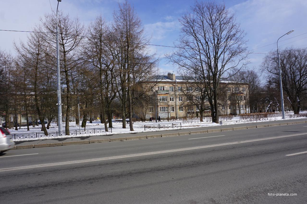На улице Володарского.