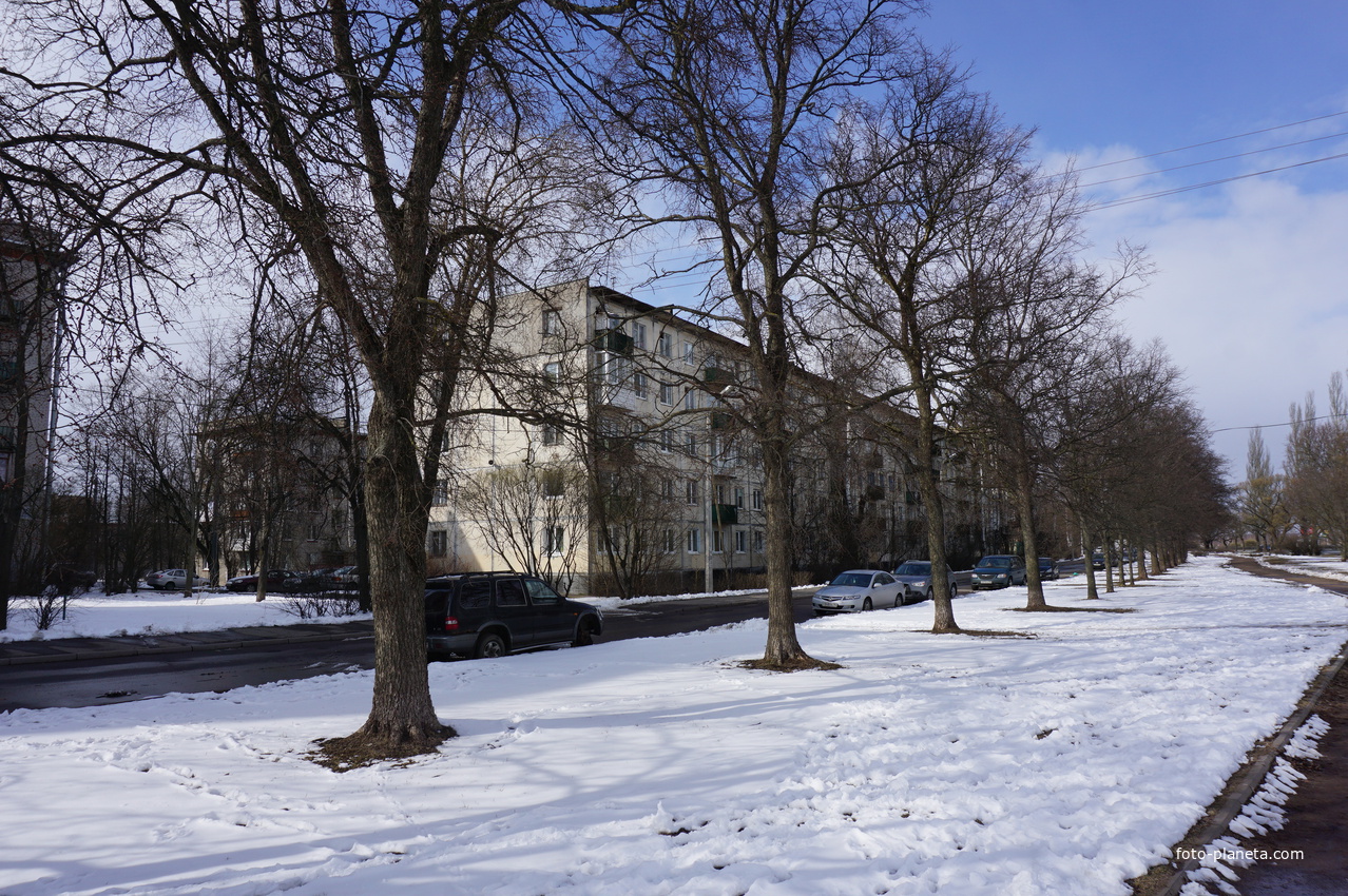 Сестрорецк.