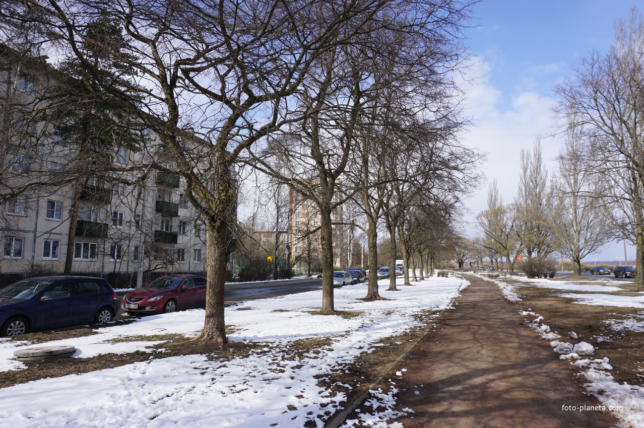 Сестрорецк.