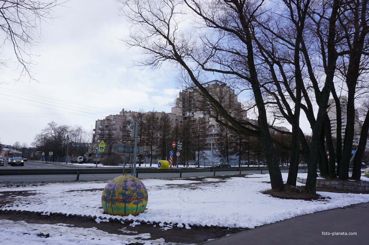 Сестрорецк.