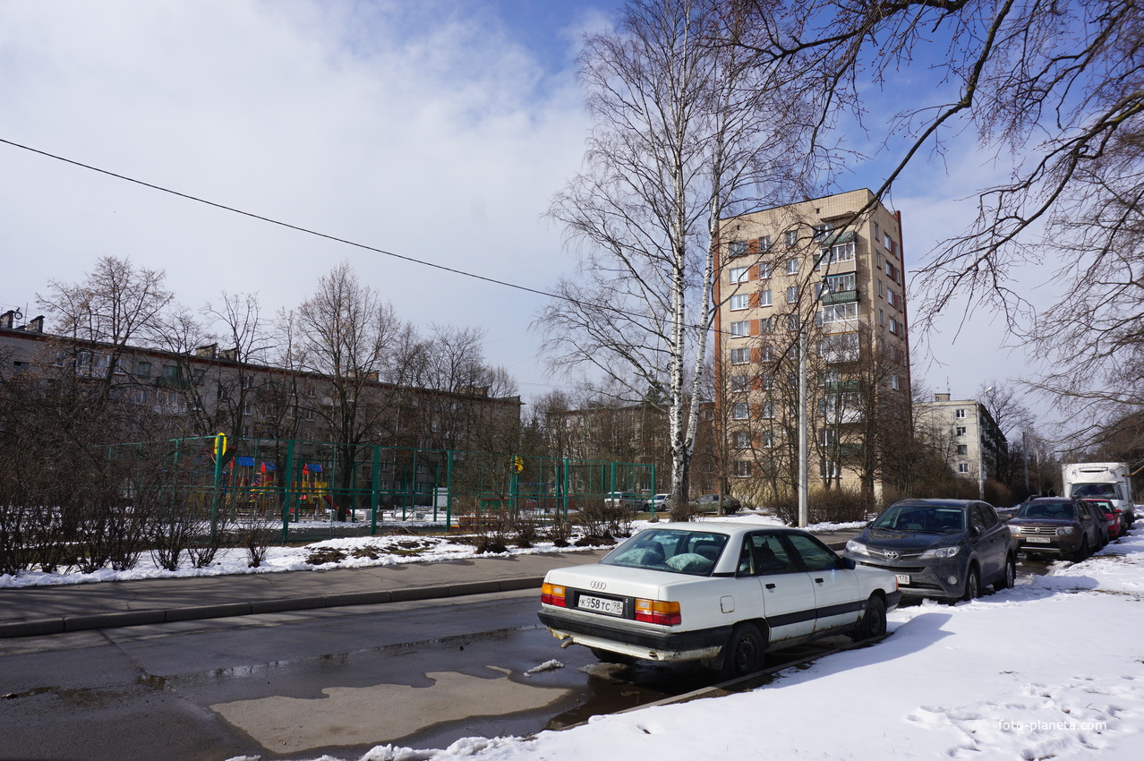 Сестрорецк.