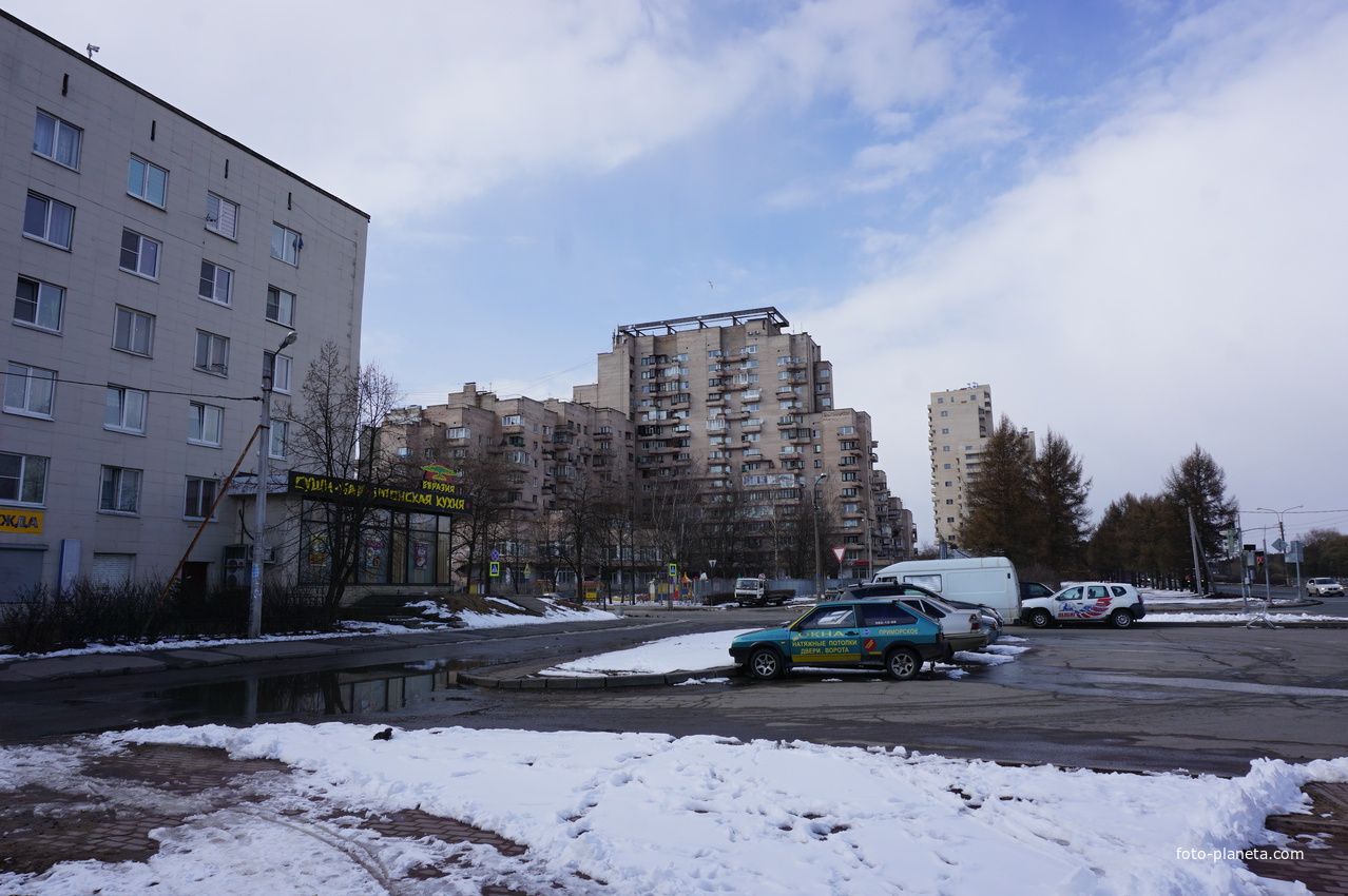 Сестрорецк.