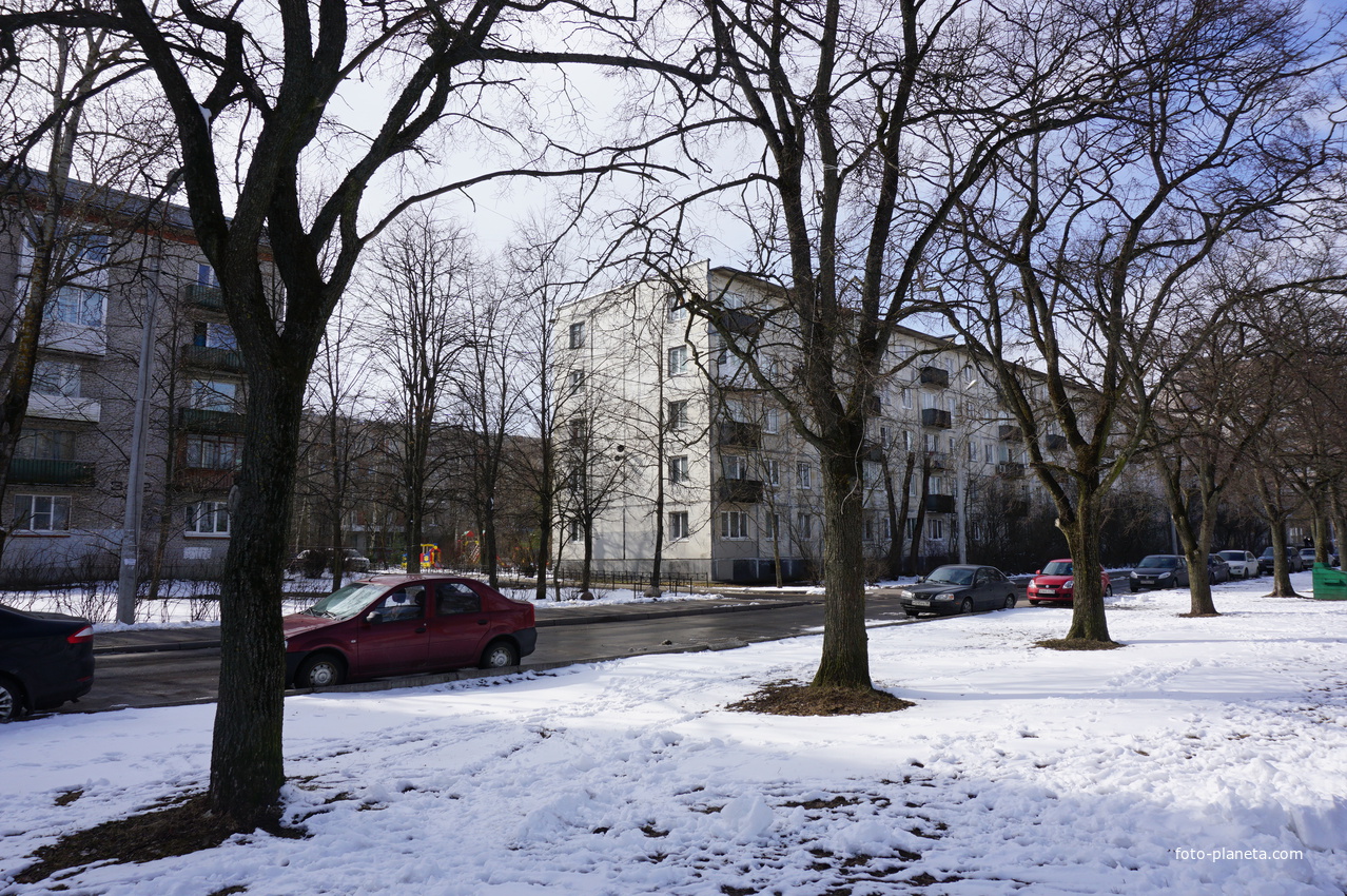 Сестрорецк.