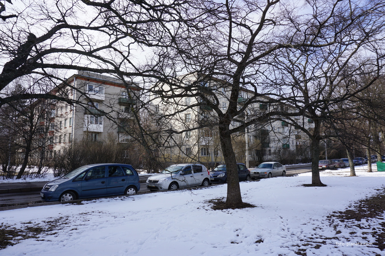 Сестрорецк.