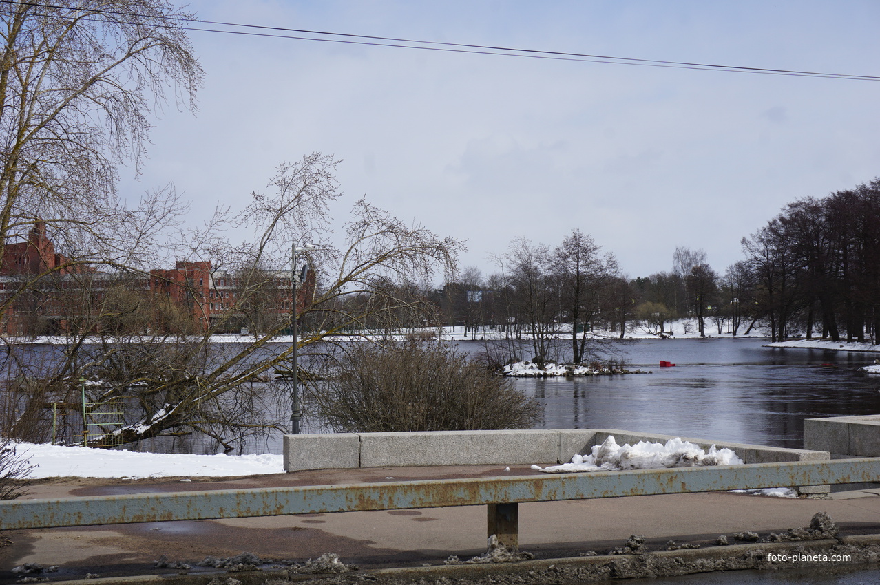 Сестрорецк.