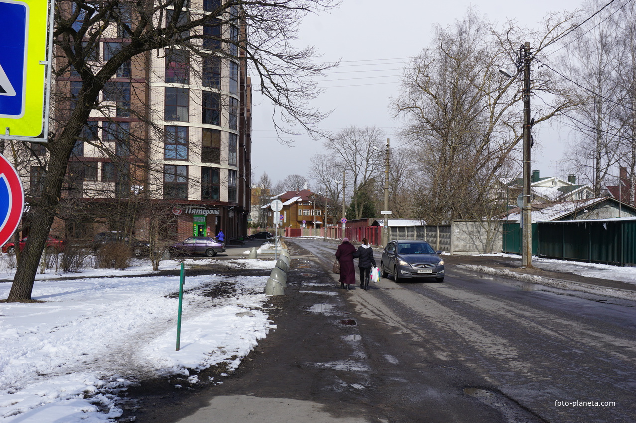 Сестрорецк.