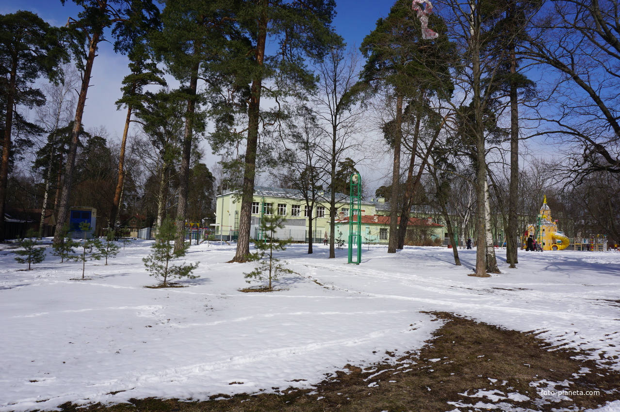 Сестрорецк.