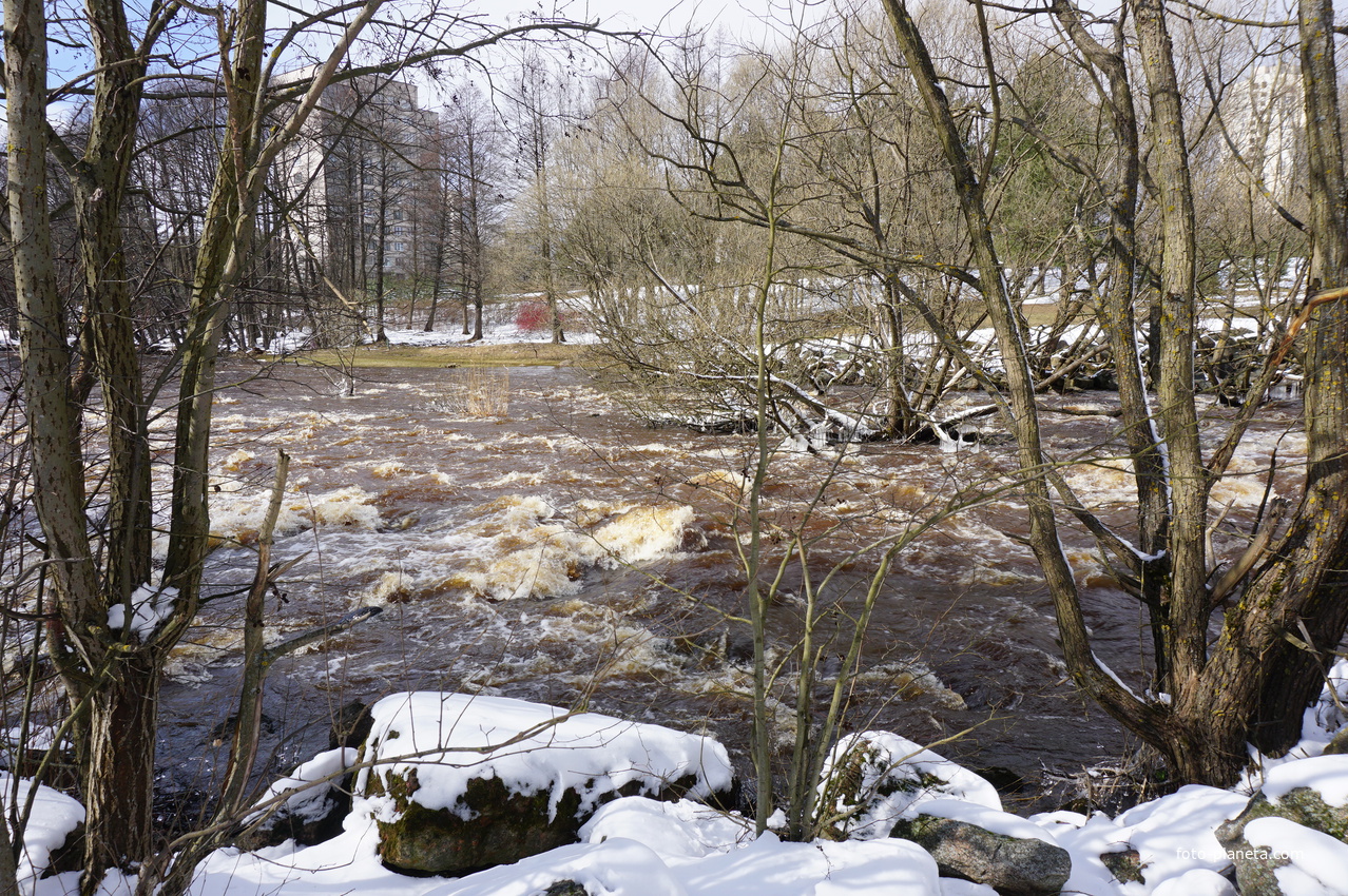 Сестрорецк.